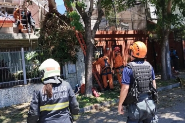 Tragedia en Saavedra: un joven podaba un árbol, se cayó y murió ahorcado