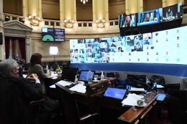 El Senado aprobó la Ley de Teletrabajo