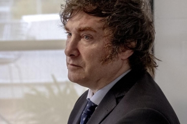 La publicación de Javier Milei luego de la marcha por la educación pública: “Lágrimas de zurdos”