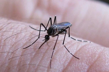 42 muertos dengue y los casos siguen en aumento