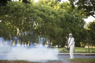 Ya son más de 67 mil los casos de dengue en Argentina: se reportaron 48 víctimas fatales