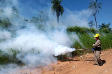 Corrientes: Senadores Provinciales solicitan declaración de Emergencia Sanitaria y vacunación gratuita contra el Dengue
