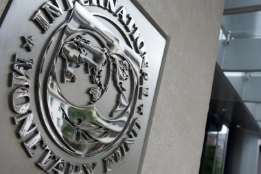 El FMI advierte que dolarizar no sustituye una política fiscal sostenible y que Milei deberá conseguir mucho apoyo político