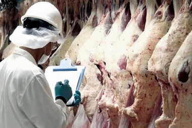 Prohibirán exportar carne a frigoríficos que no cumplan con los acuerdos del Gobierno