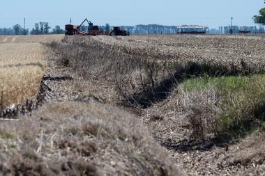 El Gobierno lanza créditos de inversión para pymes agroindustriales impactadas por la sequía