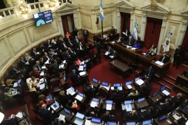 El Senado sesiona para aprobar el consenso fiscal y otros proyectos