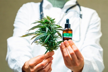 El Senado aprobó el marco regulatorio de producción de cannabis medicinal