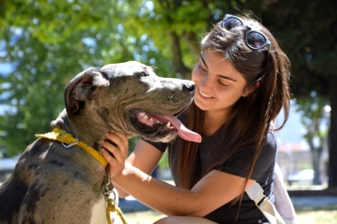 Jornada gratuita: vacunación y desparasitación de mascotas en la República de los Niños