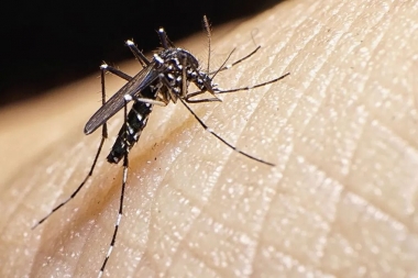 Los casos de dengue en el país siguen en baja por quinta semana consecutiva