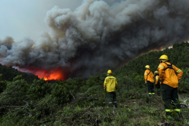 Permanecen activos los incendios forestales en Corrientes, Río Negro, Misiones, Chubut y Formosa