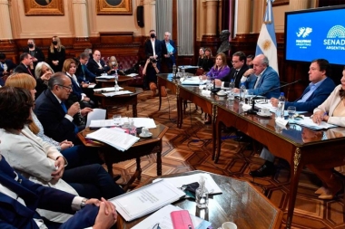 Senado reanuda debate sobre reforma de la Corte Suprema