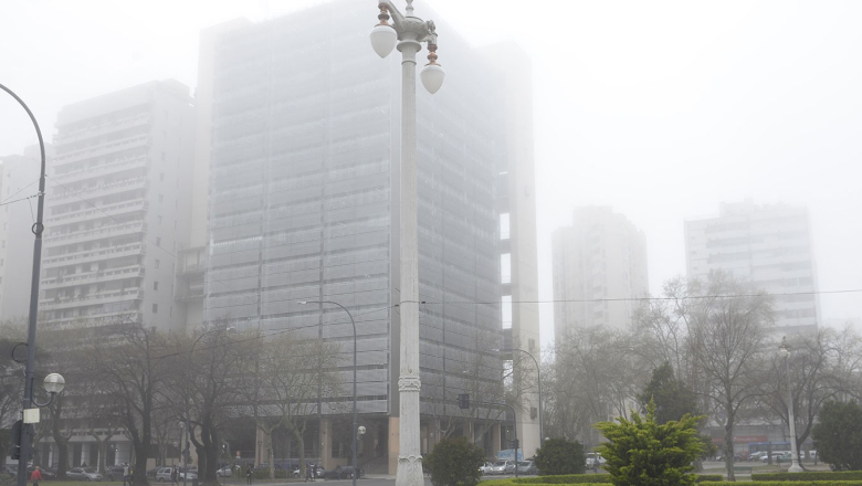 La Plata se cubre de niebla espesa: visibilidad cae a menos de 100 m y afecta vuelos