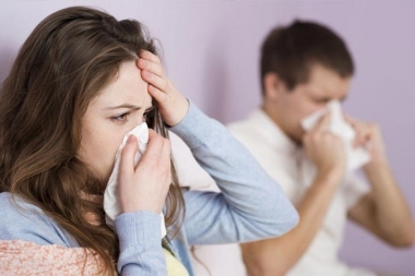 El gobierno intenta ocultar o disfrazar bajo el nombre  " bacteria"  una epidemia de Gripe A ?