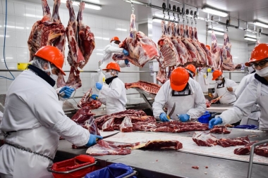 Anunciaron la apertura para la exportación de carne a China