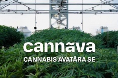 Inauguraron en Jujuy un complejo de biotecnología para la producción de cannabis medicinal