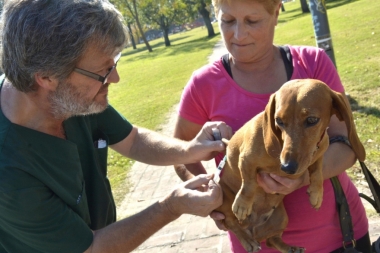Melchor Romero: El consultorio veterinario móvil brindará atención gratuita a perros y gatos