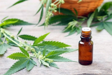Avanza el proyecto que regula la producción de cannabis medicinal