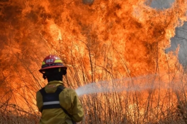 Río Negro, Córdoba, Misiones y Corrientes continúan teniendo incendios forestales activos
