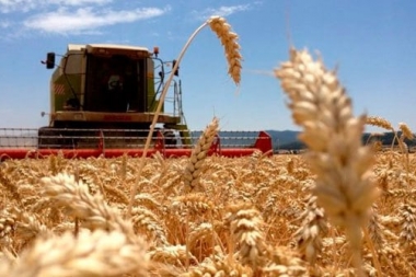 El gobierno aumenta las retenciones y crea el Fondo de Estabilización del trigo