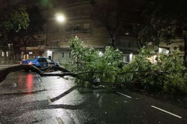 Temporal de lluvia y viento: dejó caída de árboles, postes de luz y autos dañados