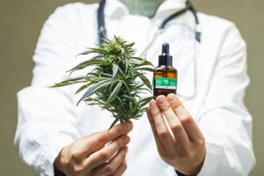 Diputados convirtió en ley el desarrollo del cannabis medicinal