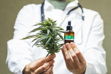 El Gobierno promulgó la ley de cannabis medicinal y cáñamo industrial