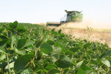 El precio internacional de la soja llega a los US$655 y marca un nuevo récord