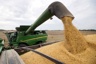 Bahillo anunció una simplificación en el régimen para la liquidación de exportaciones de soja