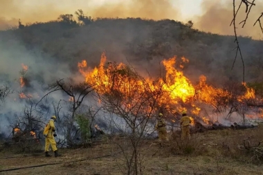 Hay ocho provincias afectadas por focos activos de incendios forestales