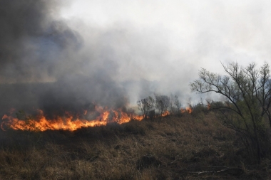 Proponen cambios en el Código Penal para luchar contra las quemas en el Delta