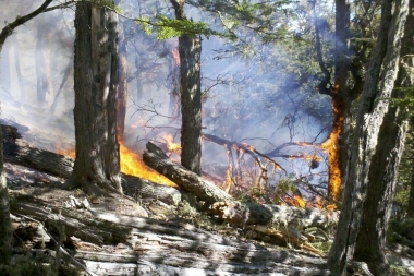 Incendios en Tierra del Fuego: preocupa el avance de las llamas y las fuertes ráfagas de viento complican el operativo