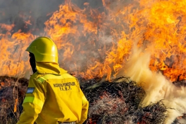 Tierra del Fuego: continúa el incendio forestal en la reserva natural