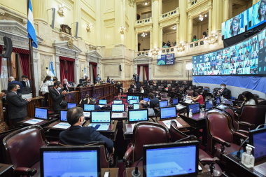 El Senado vuelve a dar un golpe al Gobierno con sesión que apunta a tumbar vetos clave