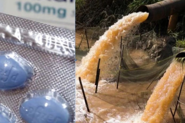 VERANO CALIENTE: Más sexo y Aguas  Contaminadas: ALERTA ROJA EN EL RÍO DE LA PLATA