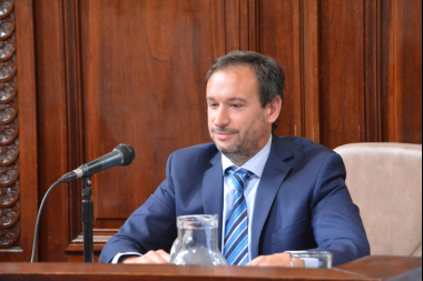 El Concejo avanza con un proyecto para reorganizar la seguridad en La Plata