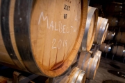 Bodegueros advierten que podría faltar vino en los próximos meses, por las trabas a las importaciones