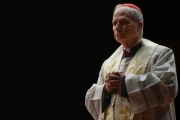 Nuevo Papa, Francisco ya tiene sucesor